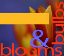 blooms & bulbs logo